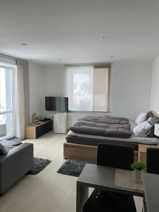 Plne Vybaveny Krasny 1kk S Balkonem, Vyhledem Apartment