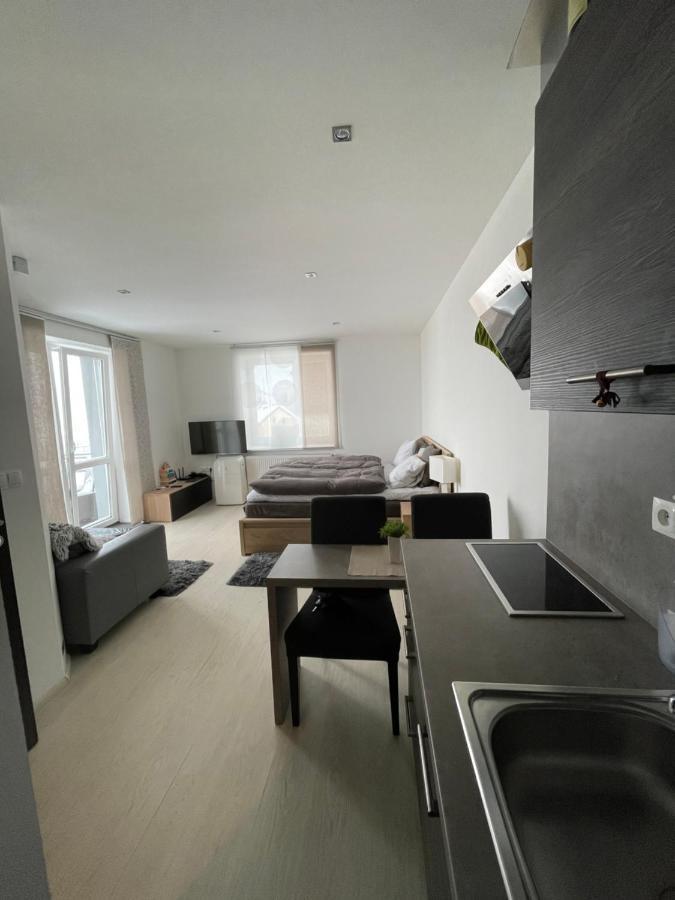 Plne Vybaveny Krasny 1kk S Balkonem, Vyhledem Apartment *