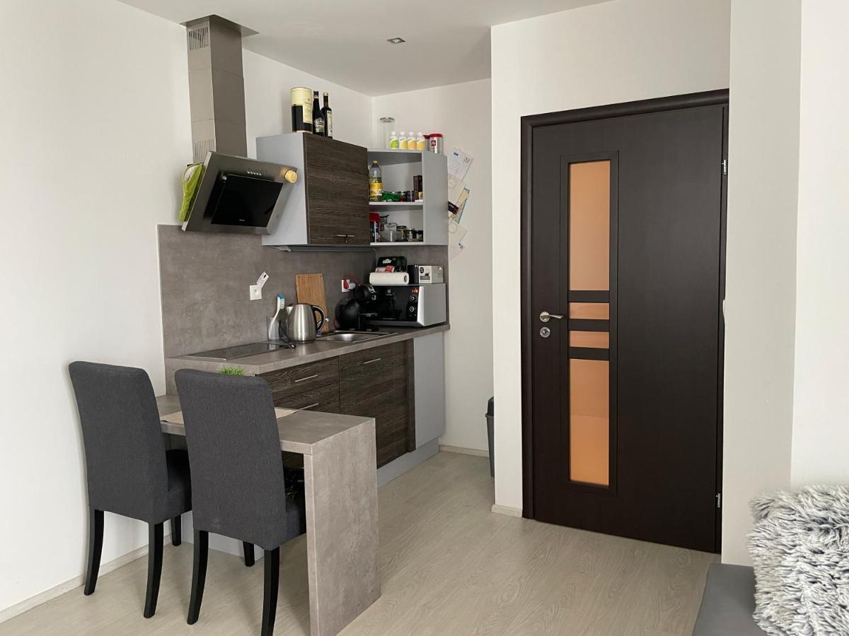 Plne Vybaveny Krasny 1kk S Balkonem, Vyhledem Apartment